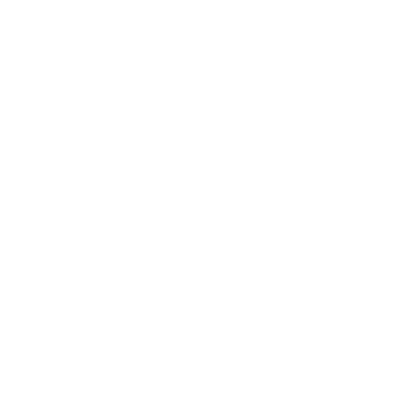 cisco-partner-logo